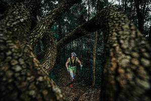 BIB: 
                            <button type="button" onclick="openModal(25673132)" class="btn btn-primary btn-sm float-right btn-popup" data-toggle="modal" data-target=".modal-high-quality">
                        <i class="fas fa-shopping-cart"></i> Add to Cart
                    </button>
                                            <button type="button" onclick="isThisMe(25673132, true)" class="btn btn-success btn-sm float-right btn-popup btn-isme hidden" data-toggle="tooltip" data-placement="bottom" title="นี่คือรูปของคุณใช่ไหม คลิกที่นี่เพื่อเอาเข้าอัลบั้ม">
                        <i class="fas fa-plus"></i> Add to album
                    </button>
                    <button type="button" onclick="isThisMe(25673132, false)" class="btn btn-warning btn-sm float-right btn-popup btn-isnotme hidden">
                        <i class="fas fa-ban"></i> Remove from album
                    </button>